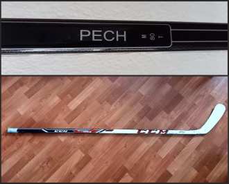 Lukáš Pech - HC Sparta Praha - 20/21 - GU stick